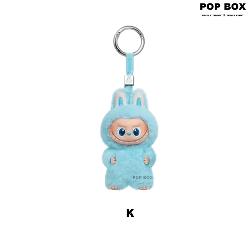 【New】THE MONSTERS Pin for Love Series - Vinyl Plush Pendant labubu Blind Box - POP BOX