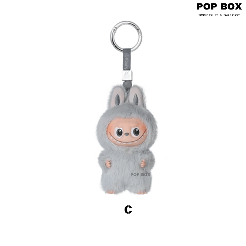 【New】THE MONSTERS Pin for Love Series - Vinyl Plush Pendant labubu Blind Box - POP BOX