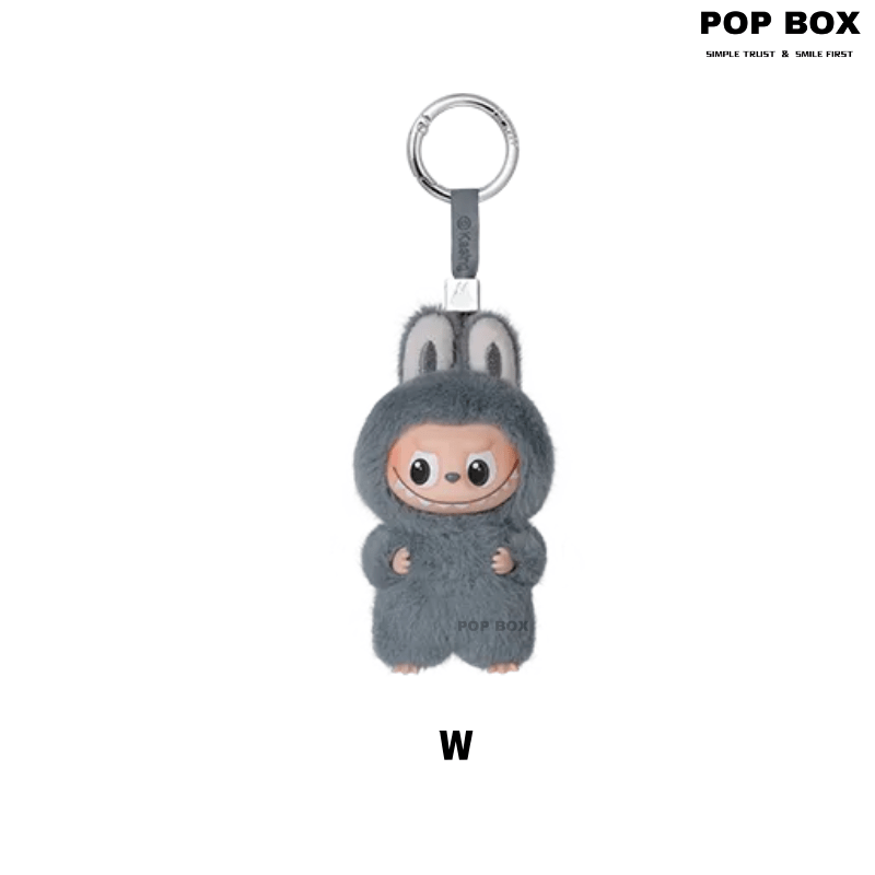 【New】THE MONSTERS Pin for Love Series - Vinyl Plush Pendant labubu Blind Box - POP BOX