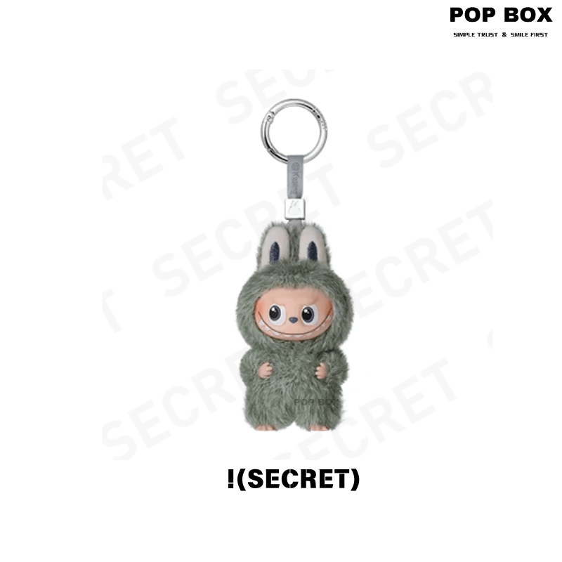 【New】THE MONSTERS Pin for Love Series - Vinyl Plush Pendant labubu Blind Box - POP BOX