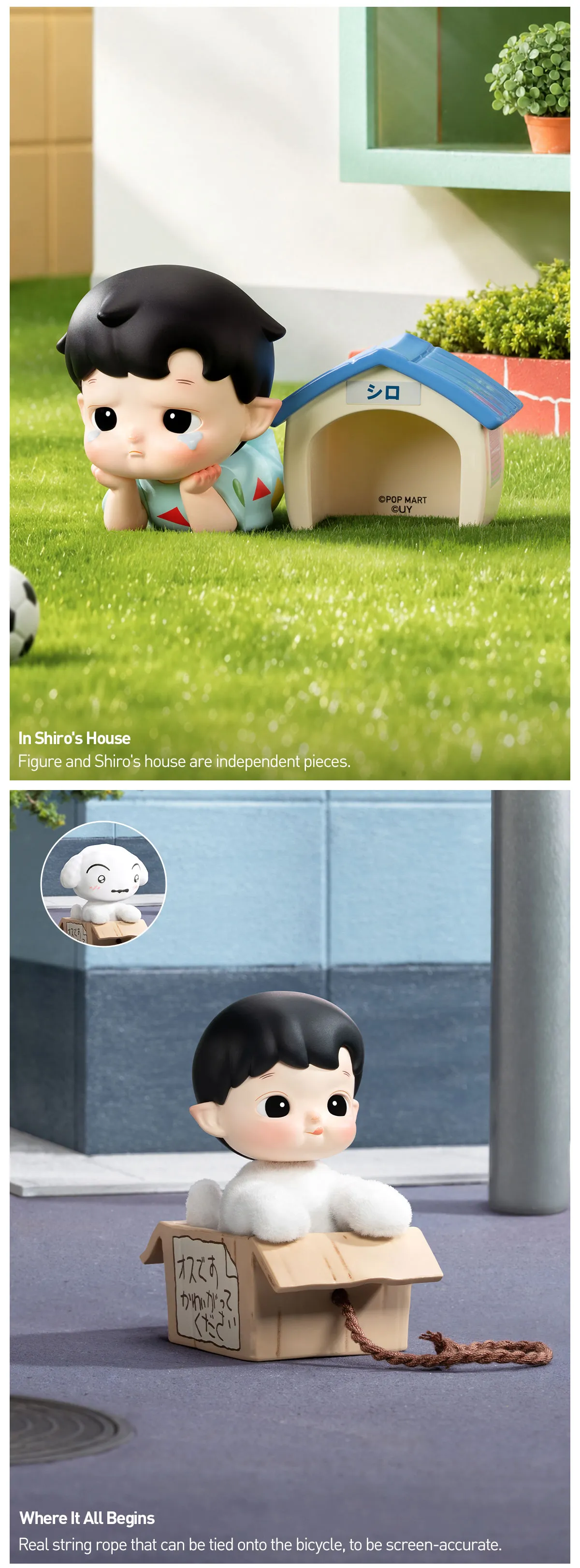 Pasted Image