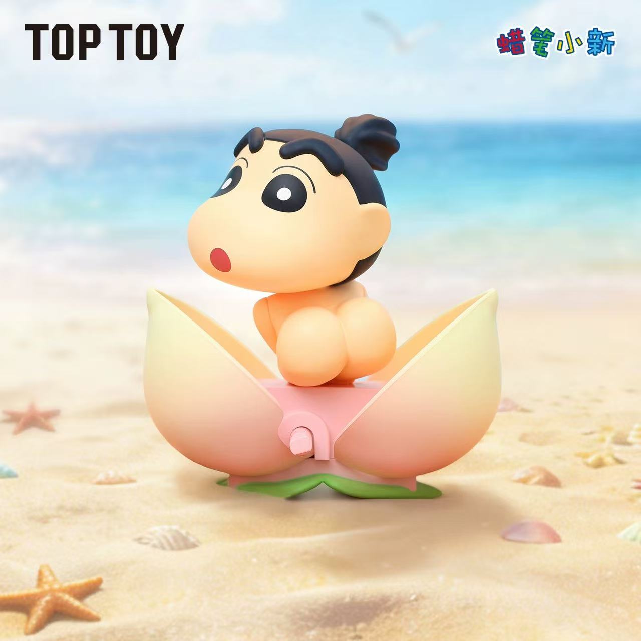 TOPTOY Crayon Shin-chan Diary Series blind box - POPBOXSS