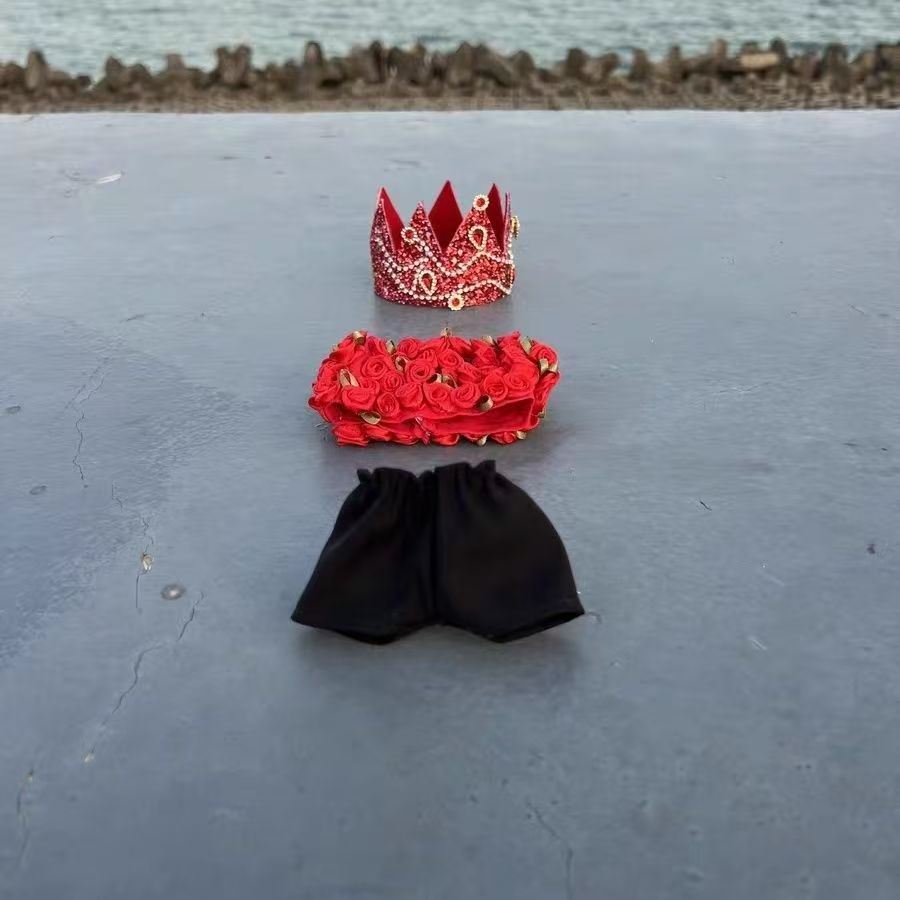 Labubu doll clothes Same model as G-Dragon's concert (No doll)labubu clothes - POPBOXSS