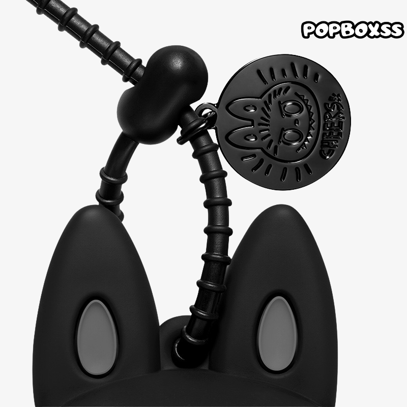 THE MONSTERS 10th Anniversary Series Headphone Case - POPBOXSS